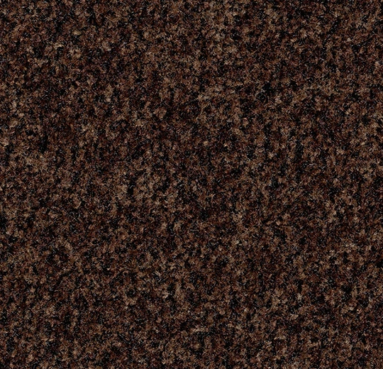 Coral Brush 5724 Chocolate Brown