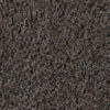 Coral Brush 5714 Shark Grey