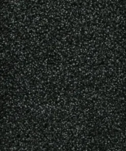 Co-pro Entrance carbon 0246