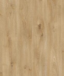 Hoomline Drakensberg 8284