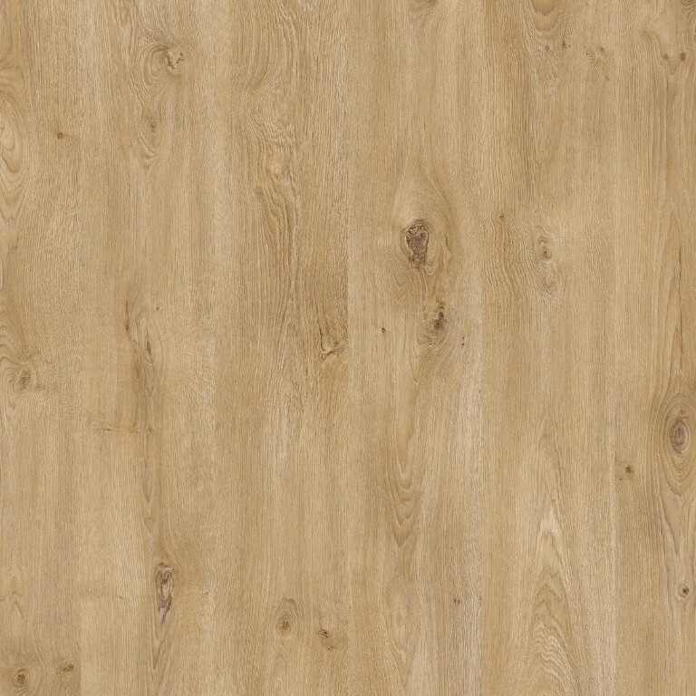 Hoomline Drakensberg 8284