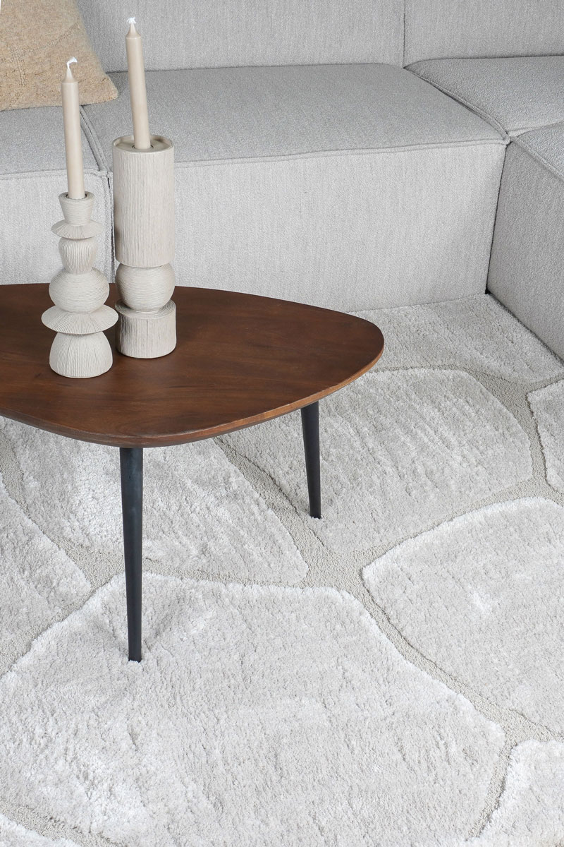 Vloerkleed Macy Beige 160 x 230 cm