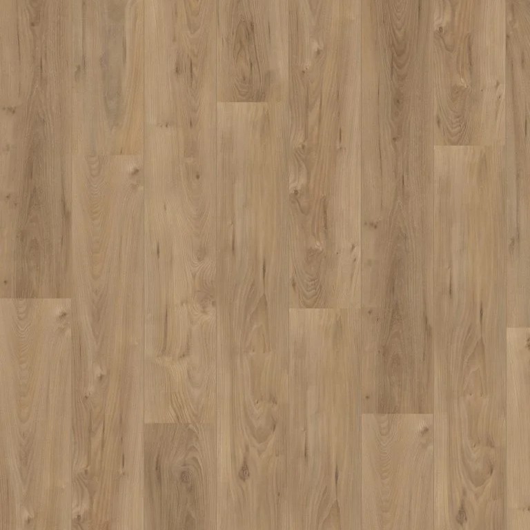 Hoomline Royal V2 Lazio 755