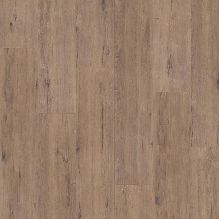 Hoomline Elite XL V4 Schelde 60902 – Aquaprotect