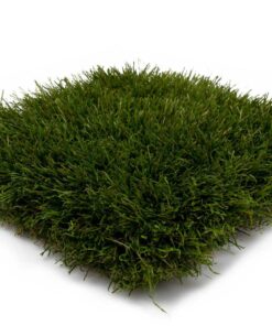 Kunstgras Sumba