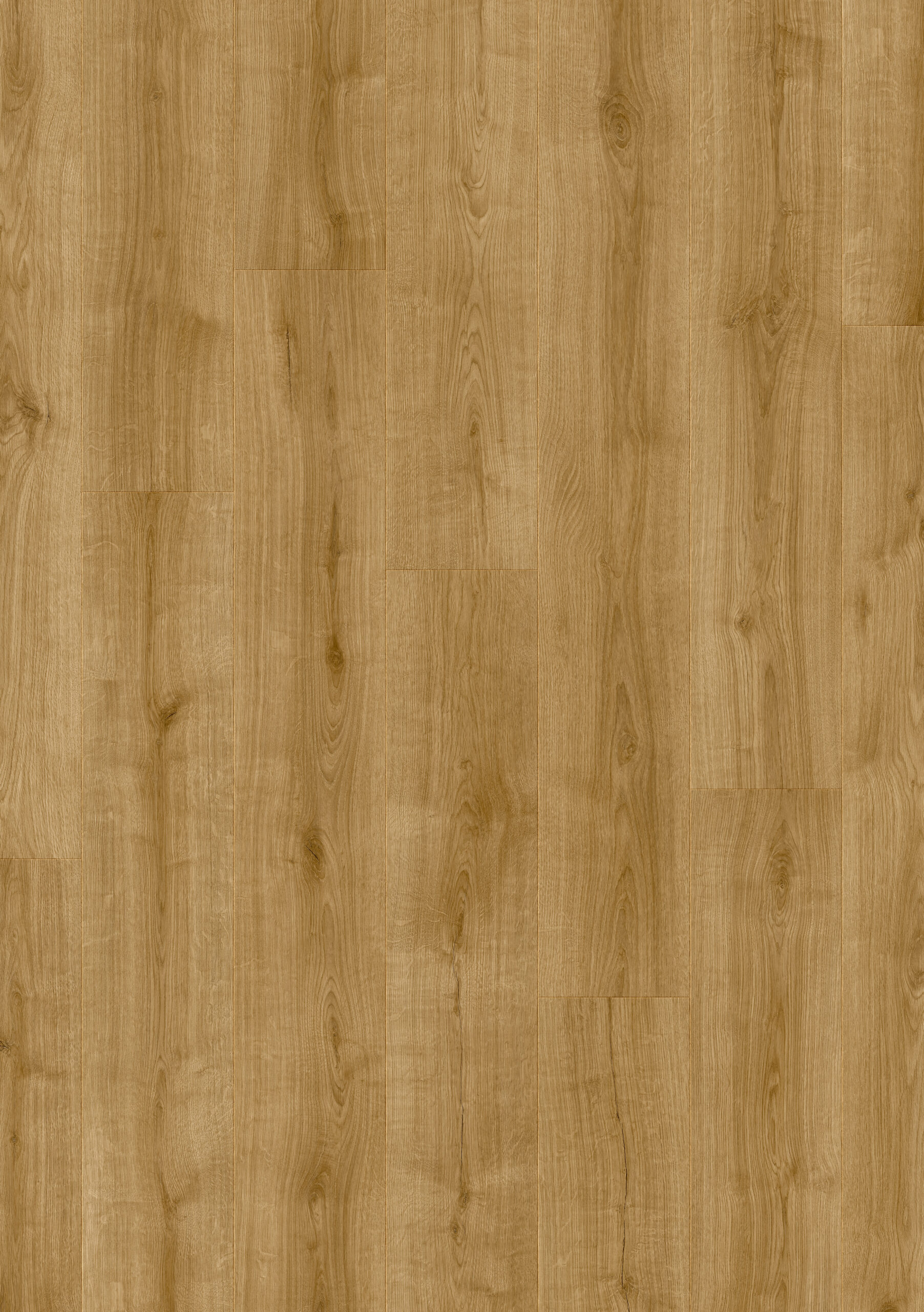 Moduleo LayRed Wistman Oak 63840