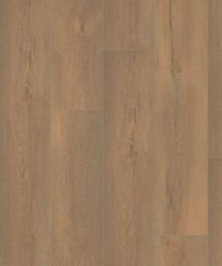 Ambiant Saarland Natuur Eiken