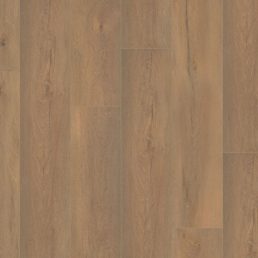 Ambiant Saarland Natuur Eiken