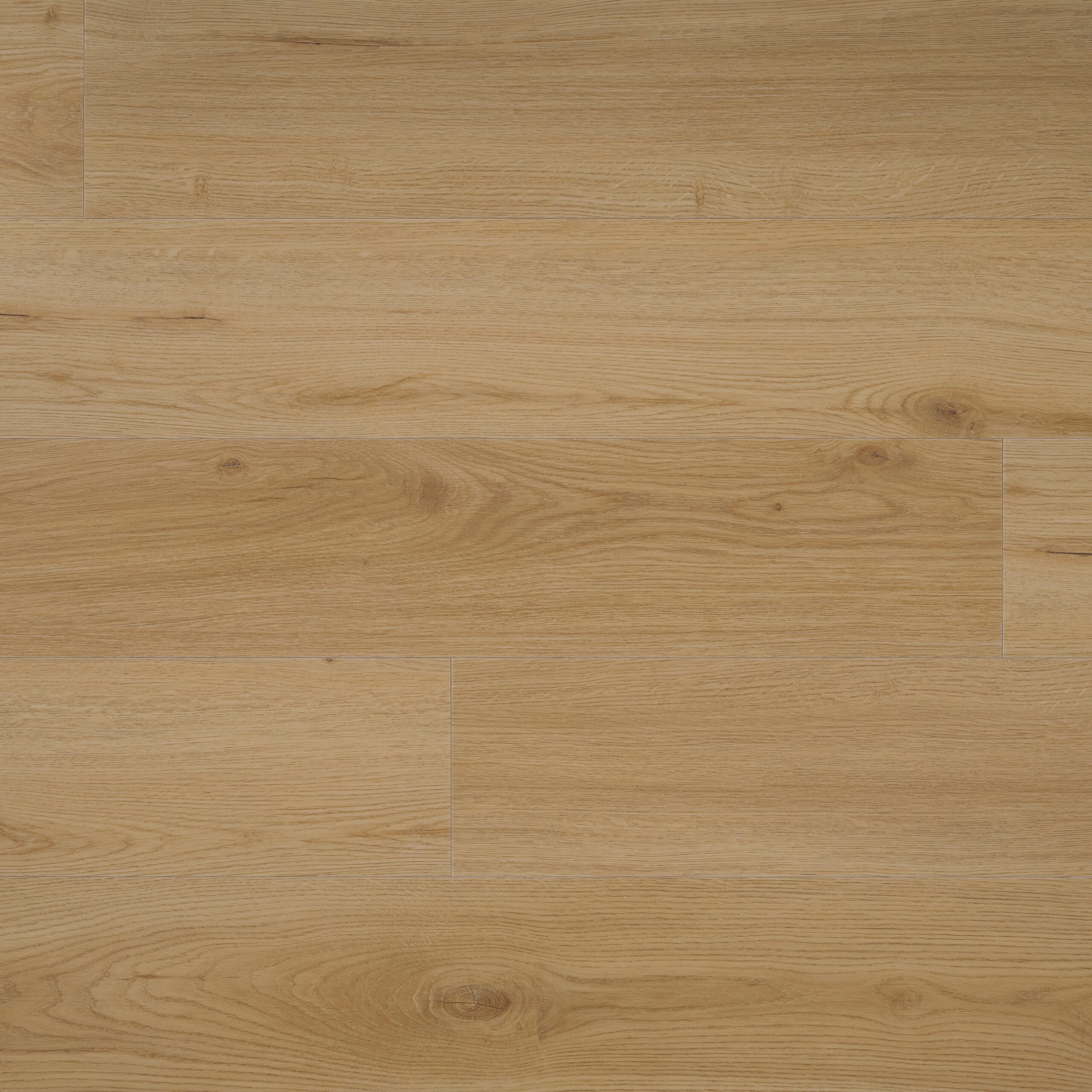 Braag Floors Campari Dryback